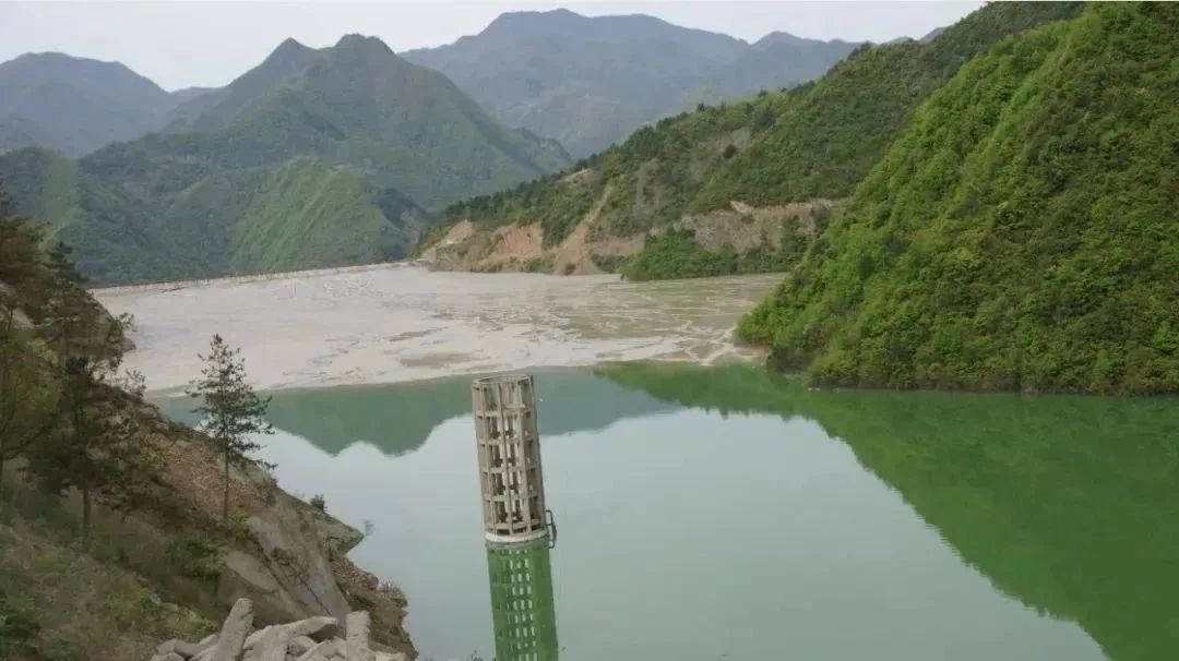 主題教育強根鑄魂，雙融雙促同頻共進