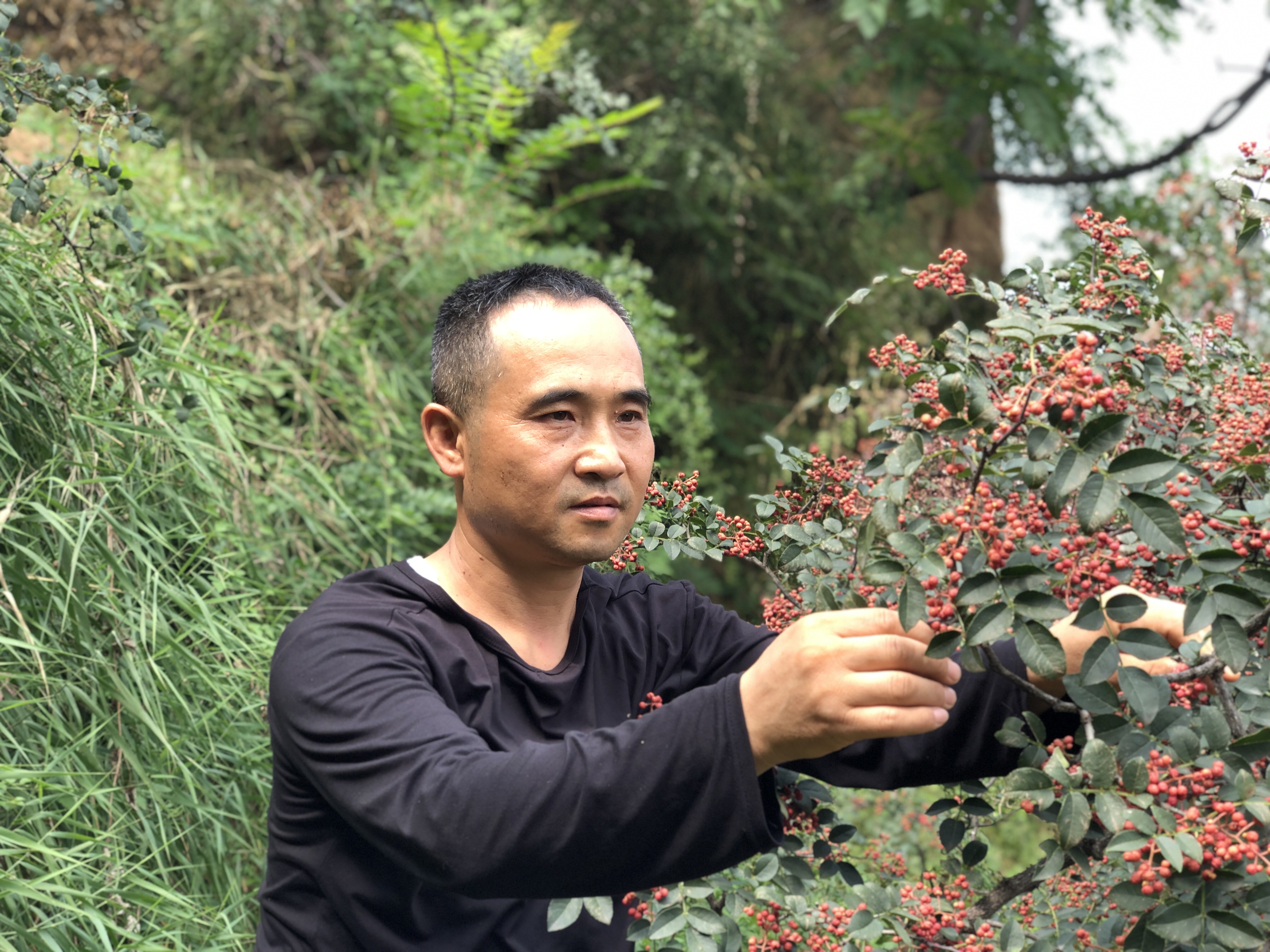 逆境脫貧 勤勞致富 ——記2023年度自強(qiáng)勵志“韓城道德模范”王亞軍